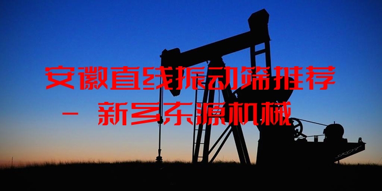 安徽直線振動(dòng)篩推薦 - 新鄉(xiāng)東源機(jī)械