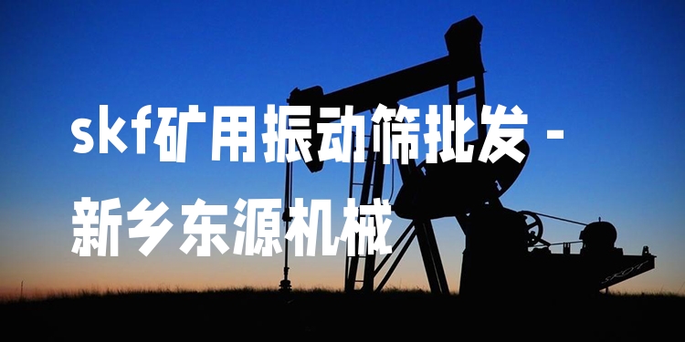 skf礦用振動(dòng)篩批發(fā) - 新鄉(xiāng)東源機(jī)械