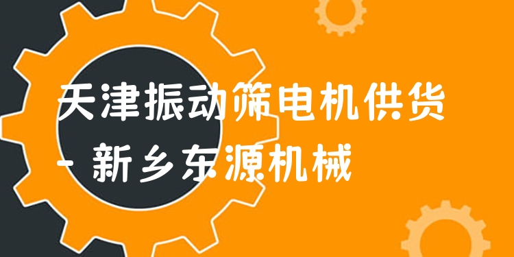 天津振動篩電機(jī)供貨 - 新鄉(xiāng)東源機(jī)械