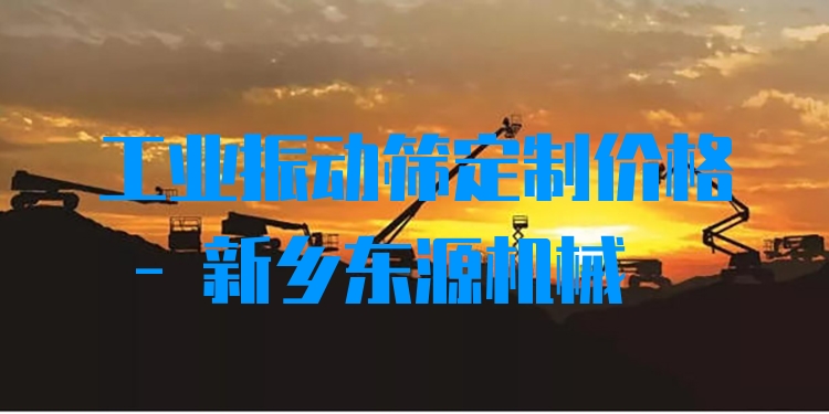 工業(yè)振動篩定制價格 - 新鄉(xiāng)東源機械