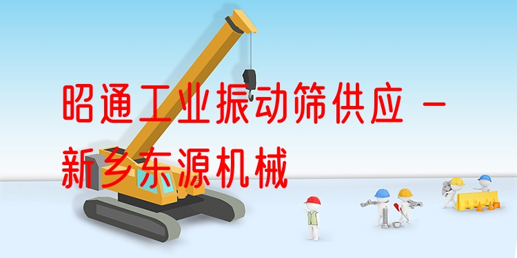昭通工業(yè)振動(dòng)篩供應(yīng) - 新鄉(xiāng)東源機(jī)械