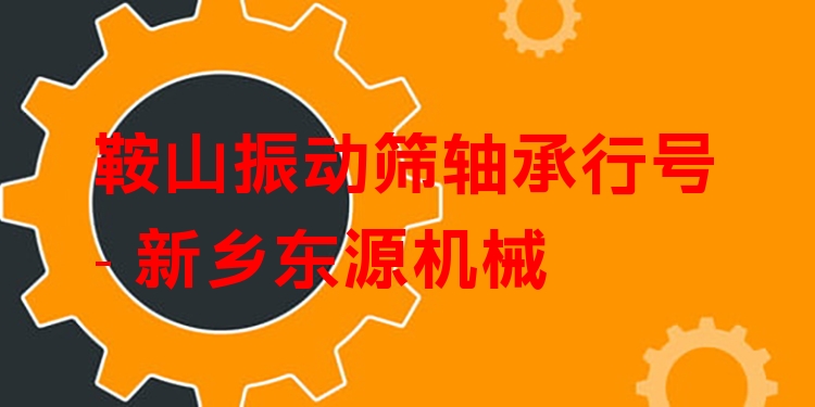 鞍山振動篩軸承行號 - 新鄉(xiāng)東源機械