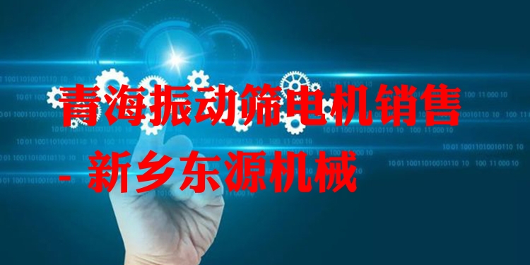 青海振動篩電機(jī)銷售 - 新鄉(xiāng)東源機(jī)械