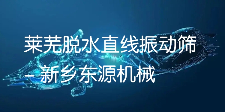 萊蕪脫水直線振動篩 - 新鄉(xiāng)東源機(jī)械