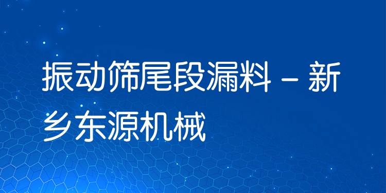 振動(dòng)篩尾段漏料 - 新鄉(xiāng)東源機(jī)械