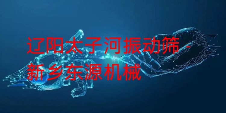遼陽太子河振動(dòng)篩 - 新鄉(xiāng)東源機(jī)械