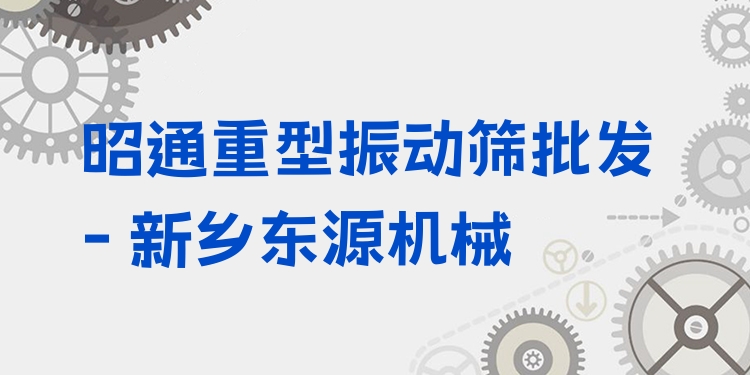 昭通重型振動(dòng)篩批發(fā) - 新鄉(xiāng)東源機(jī)械