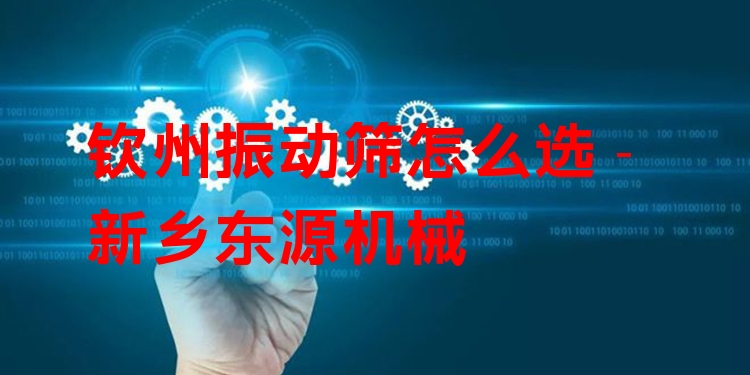 欽州振動篩怎么選 - 新鄉(xiāng)東源機械