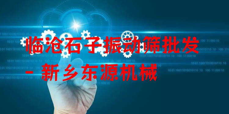 臨滄石子振動(dòng)篩批發(fā) - 新鄉(xiāng)東源機(jī)械