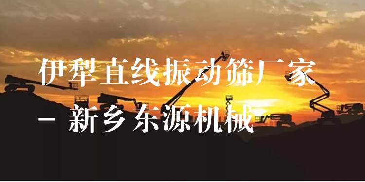 伊犁直線振動(dòng)篩廠家 - 新鄉(xiāng)東源機(jī)械