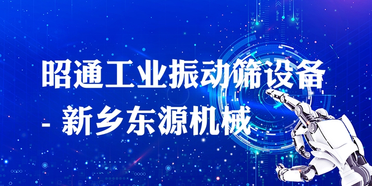 昭通工業(yè)振動篩設(shè)備 - 新鄉(xiāng)東源機(jī)械