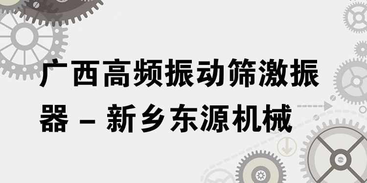 廣西高頻振動(dòng)篩激振器 - 新鄉(xiāng)東源機(jī)械