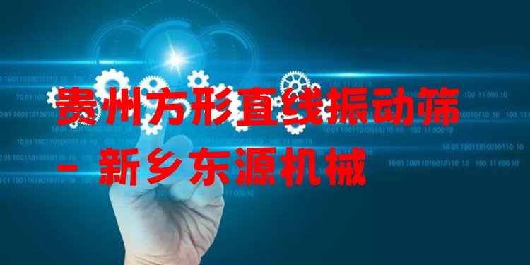 貴州方形直線振動篩 - 新鄉(xiāng)東源機(jī)械
