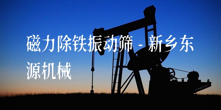 磁力除鐵振動篩 - 新鄉(xiāng)東源機械