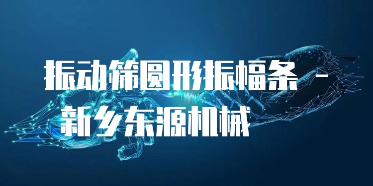 振動(dòng)篩圓形振幅條 - 新鄉(xiāng)東源機(jī)械