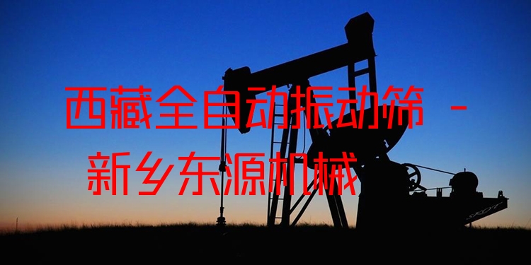 西藏全自動振動篩 - 新鄉(xiāng)東源機械