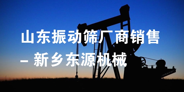 山東振動篩廠商銷售 - 新鄉(xiāng)東源機械