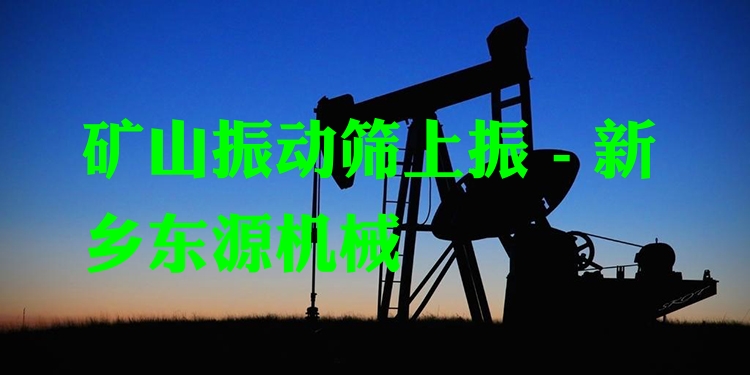 礦山振動篩上振 - 新鄉(xiāng)東源機械