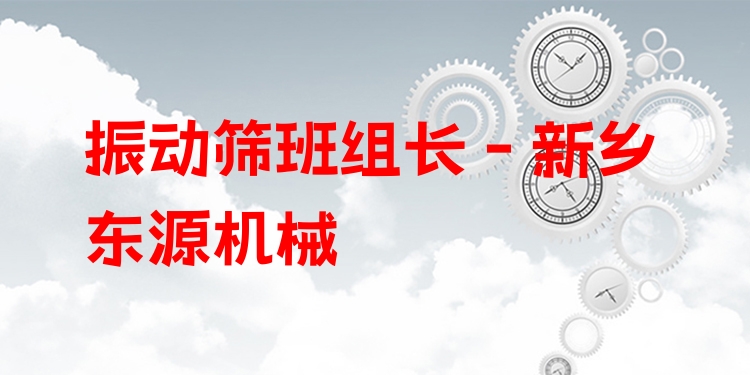 振動(dòng)篩班組長(zhǎng) - 新鄉(xiāng)東源機(jī)械