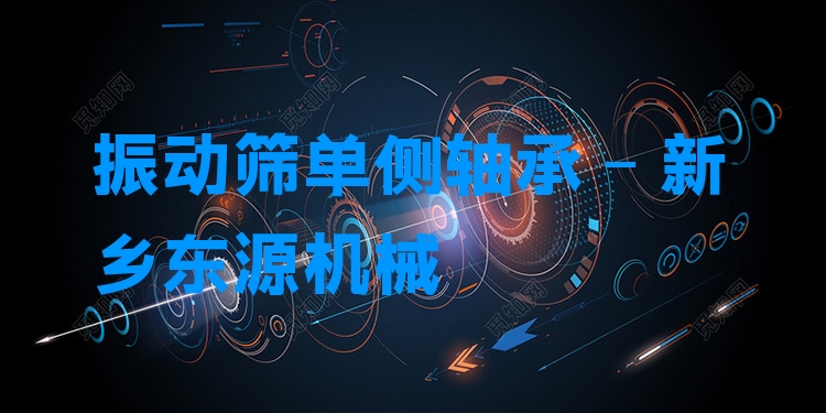振動篩單側(cè)軸承 - 新鄉(xiāng)東源機械