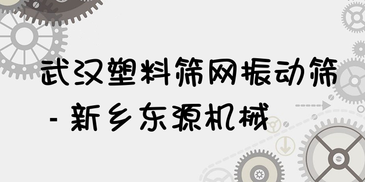 武漢塑料篩網(wǎng)振動篩 - 新鄉(xiāng)東源機(jī)械