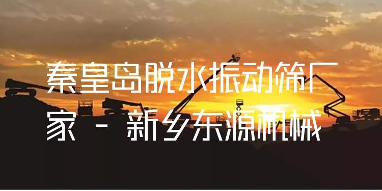 秦皇島脫水振動(dòng)篩廠家 - 新鄉(xiāng)東源機(jī)械