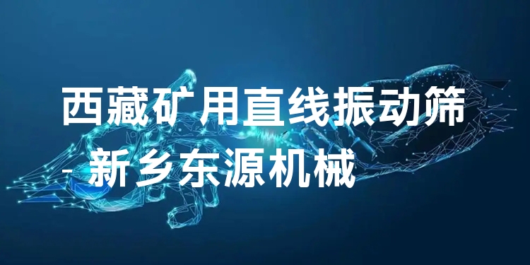 西藏礦用直線振動篩 - 新鄉(xiāng)東源機(jī)械