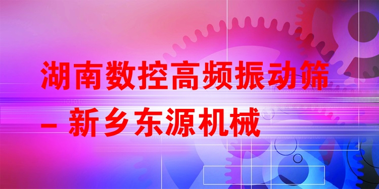 湖南數(shù)控高頻振動篩 - 新鄉(xiāng)東源機械