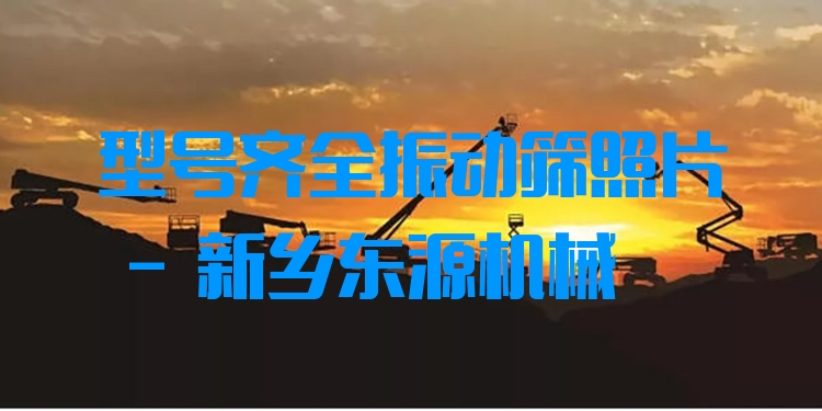 型號(hào)齊全振動(dòng)篩照片 - 新鄉(xiāng)東源機(jī)械