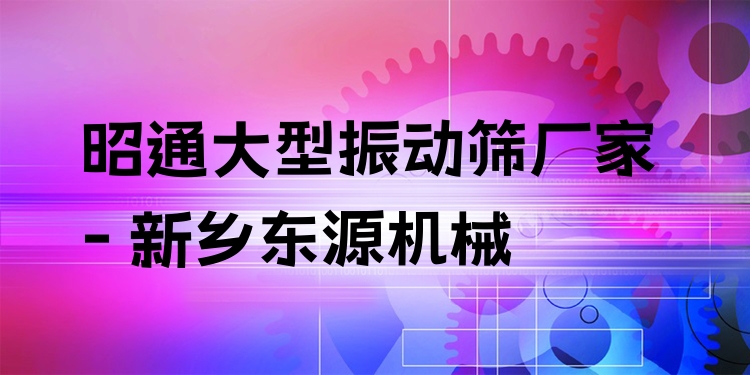 昭通大型振動(dòng)篩廠家 - 新鄉(xiāng)東源機(jī)械
