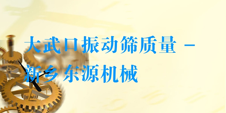 大武口振動(dòng)篩質(zhì)量 - 新鄉(xiāng)東源機(jī)械