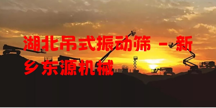 湖北吊式振動(dòng)篩 - 新鄉(xiāng)東源機(jī)械