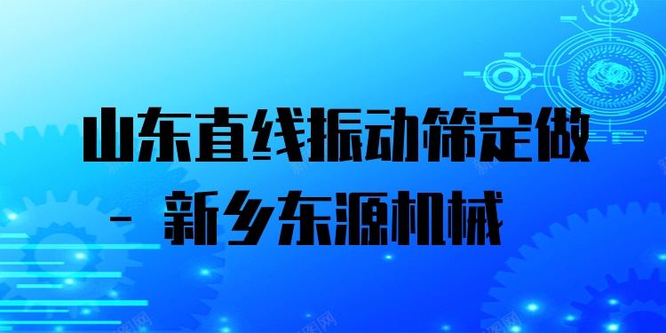 山東直線振動(dòng)篩定做 - 新鄉(xiāng)東源機(jī)械