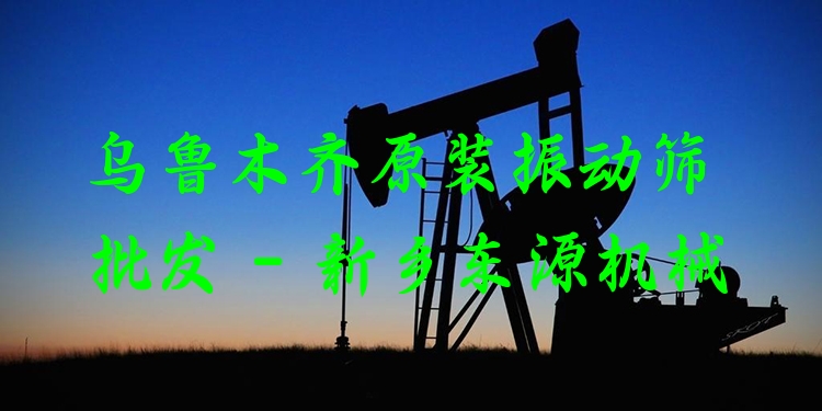 烏魯木齊原裝振動篩批發(fā) - 新鄉(xiāng)東源機(jī)械