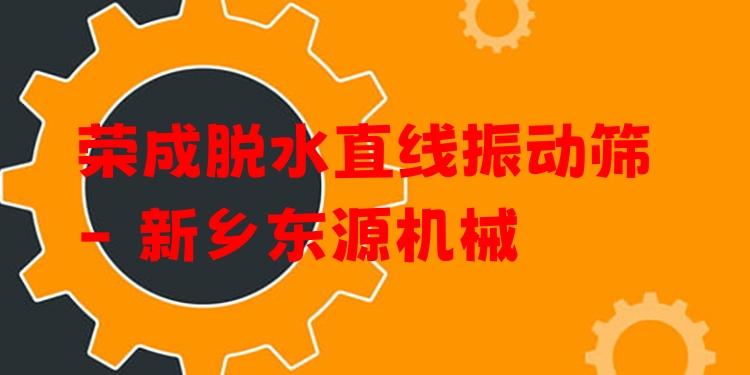 榮成脫水直線振動篩 - 新鄉(xiāng)東源機(jī)械