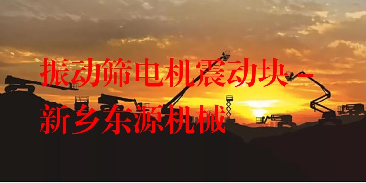 振動篩電機(jī)震動塊 - 新鄉(xiāng)東源機(jī)械