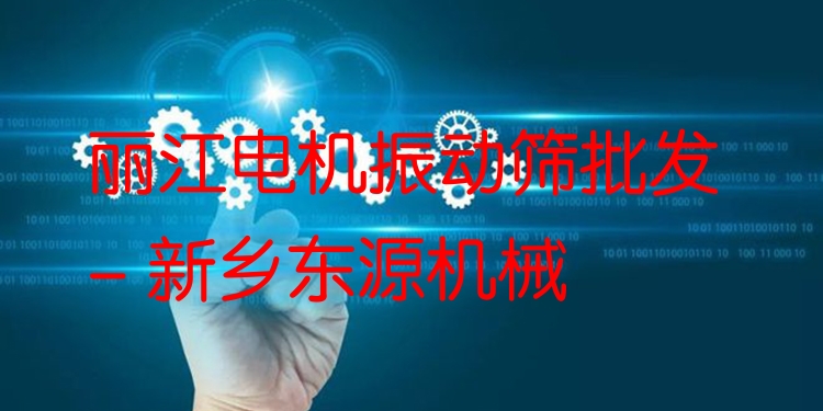麗江電機(jī)振動篩批發(fā) - 新鄉(xiāng)東源機(jī)械