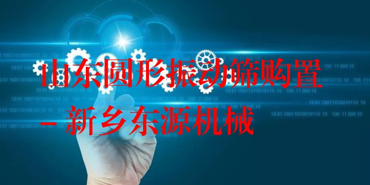 山東圓形振動(dòng)篩購(gòu)置 - 新鄉(xiāng)東源機(jī)械