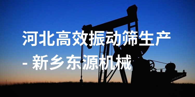河北***振動篩生產(chǎn) - 新鄉(xiāng)東源機(jī)械