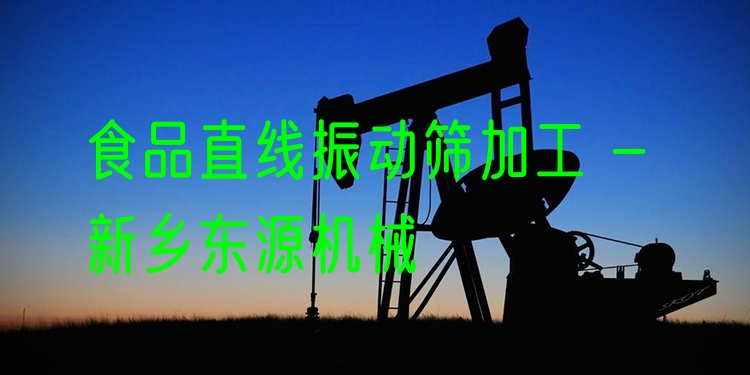 食品直線振動(dòng)篩加工 - 新鄉(xiāng)東源機(jī)械
