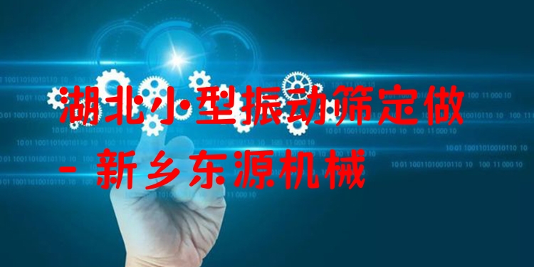 湖北小型振動(dòng)篩定做 - 新鄉(xiāng)東源機(jī)械