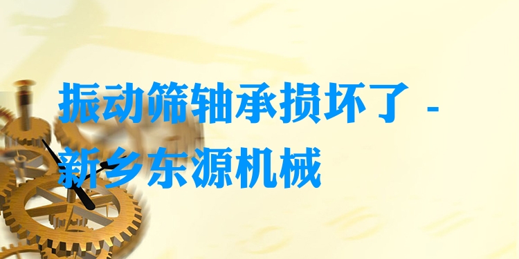 振動(dòng)篩軸承損壞了 - 新鄉(xiāng)東源機(jī)械