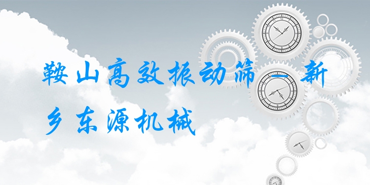 鞍山***振動(dòng)篩 - 新鄉(xiāng)東源機(jī)械
