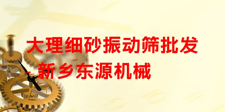 大理細(xì)砂振動篩批發(fā) - 新鄉(xiāng)東源機(jī)械