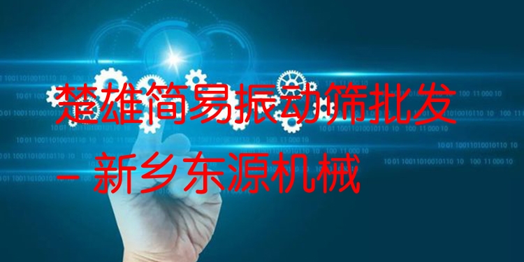 楚雄簡易振動篩批發(fā) - 新鄉(xiāng)東源機(jī)械