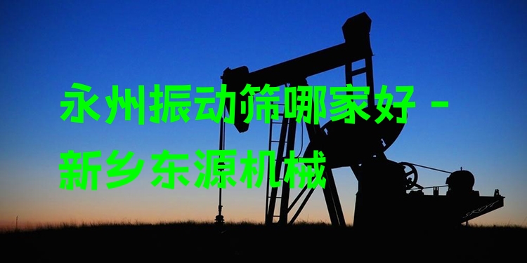 永州振動篩哪家好 - 新鄉(xiāng)東源機(jī)械