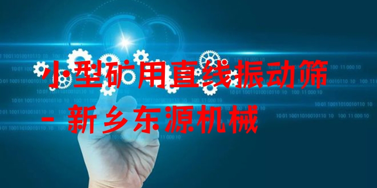 小型礦用直線振動篩 - 新鄉(xiāng)東源機械