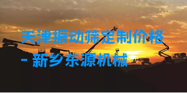 天津振動篩定制價格 - 新鄉(xiāng)東源機械