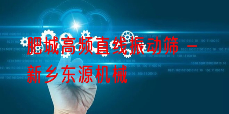 肥城高頻直線振動篩 - 新鄉(xiāng)東源機(jī)械