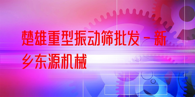 楚雄重型振動篩批發(fā) - 新鄉(xiāng)東源機(jī)械